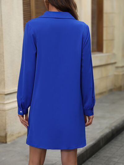 swvws Cowl Neck Long Sleeve Dress