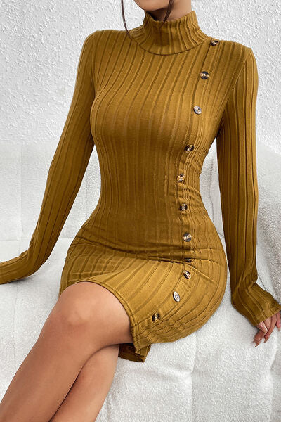 swvws Turtleneck Long Sleeve Mini Dress