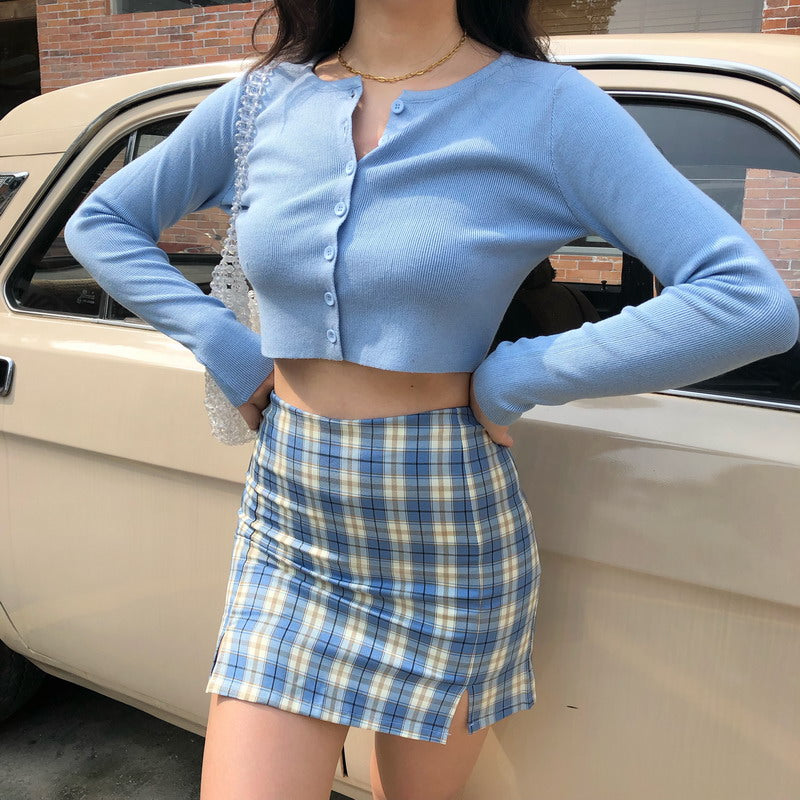 swvws - Cara Plaid Skirt // Blue