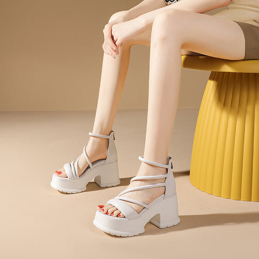 swvws  Women's Chunky Heel Sandals  Summer New 10cm Platform High-Top Cross Strap Roman Sandals