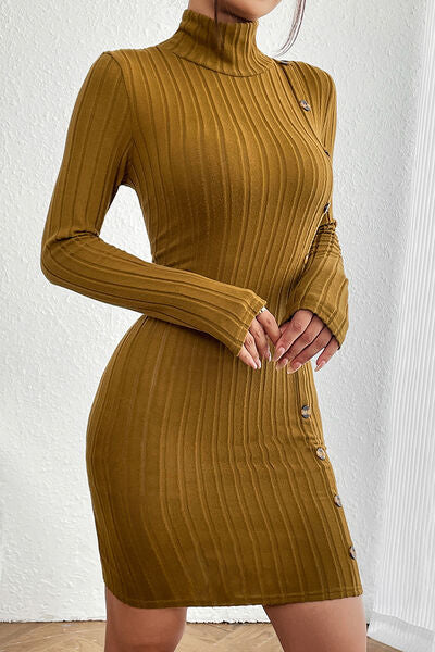 swvws Turtleneck Long Sleeve Mini Dress