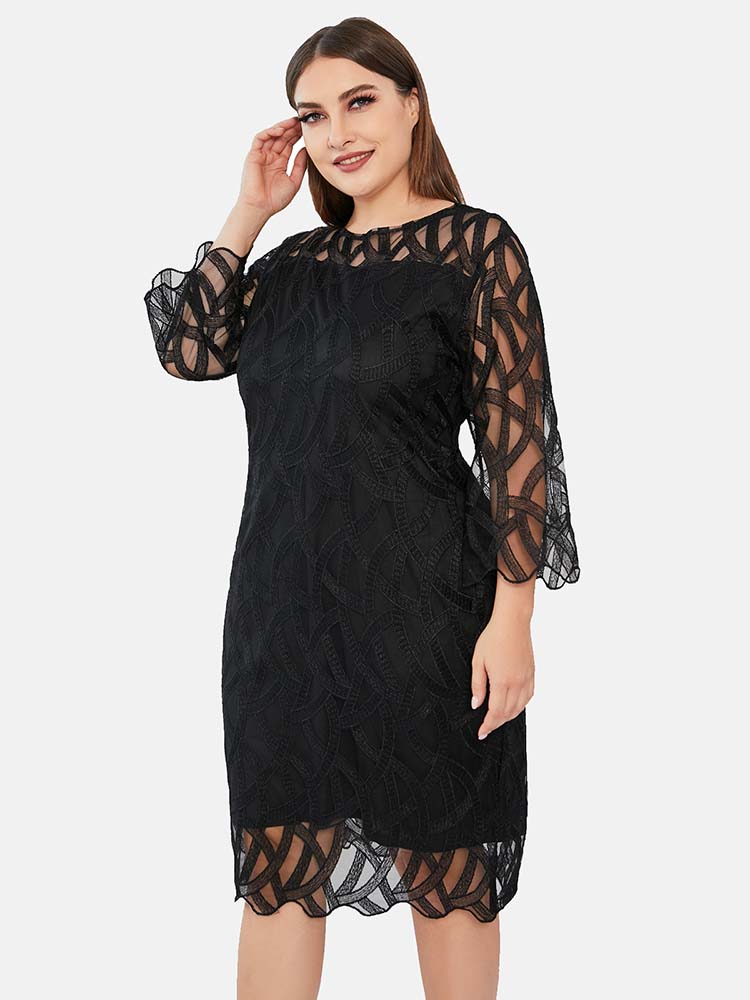 Sixsr Three Quarter Sleeve Lace Panel Dress