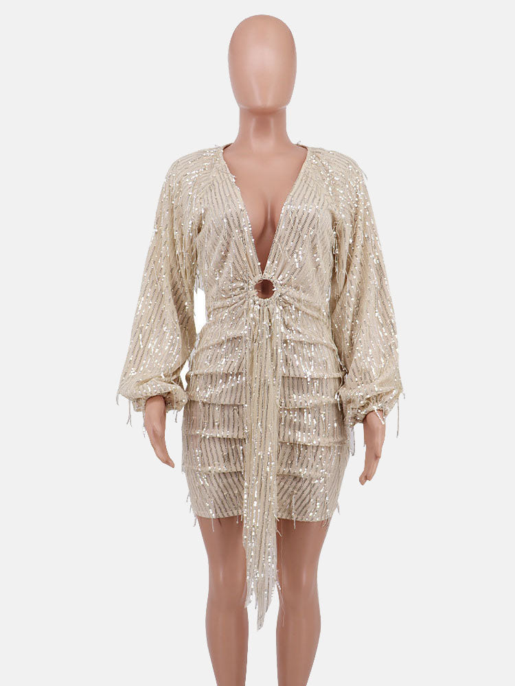 Sixsr Sequin  Fringe Trim Party Dress