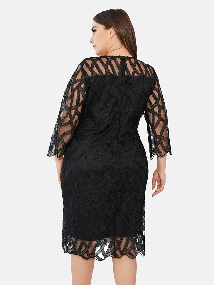 Sixsr Three Quarter Sleeve Lace Panel Dress