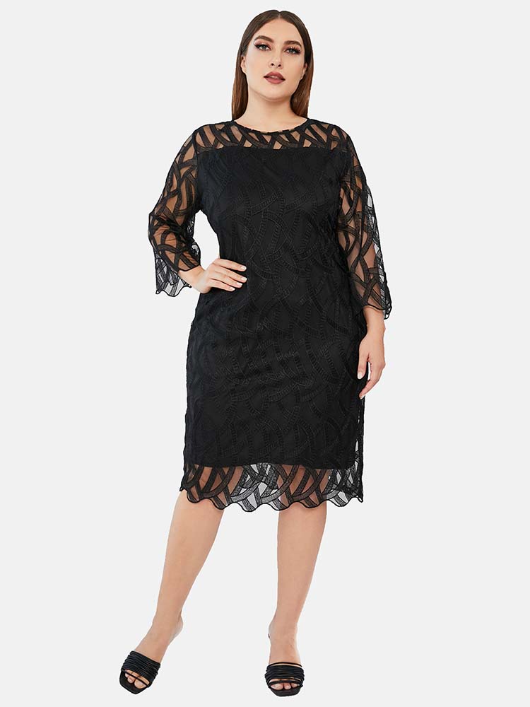 Sixsr Three Quarter Sleeve Lace Panel Dress