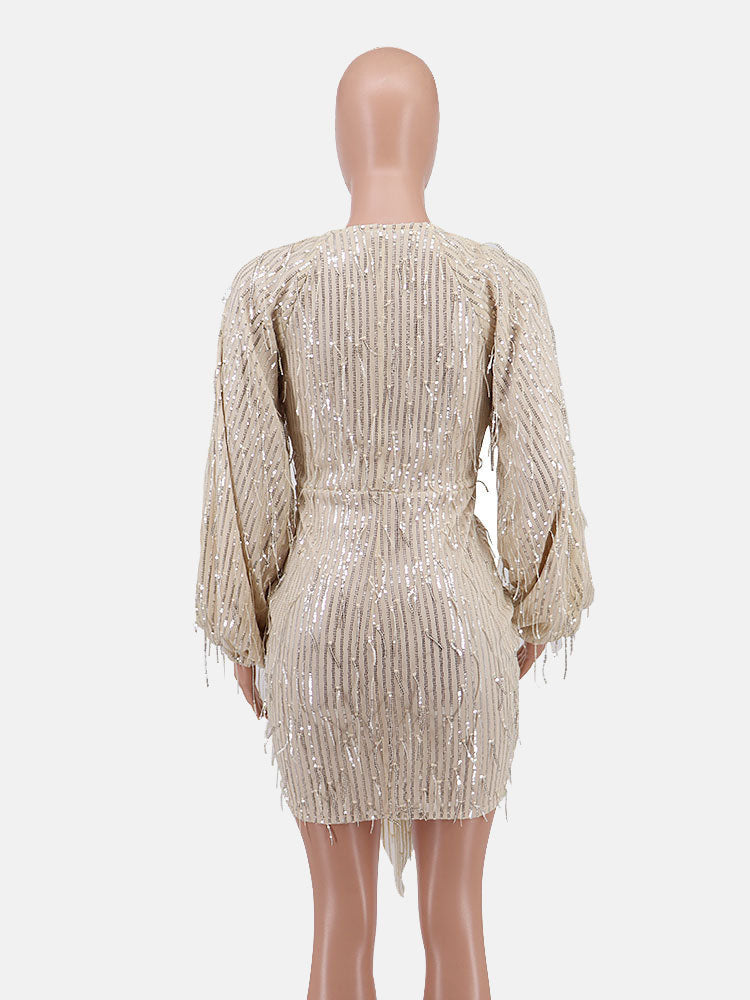 Sixsr Sequin  Fringe Trim Party Dress