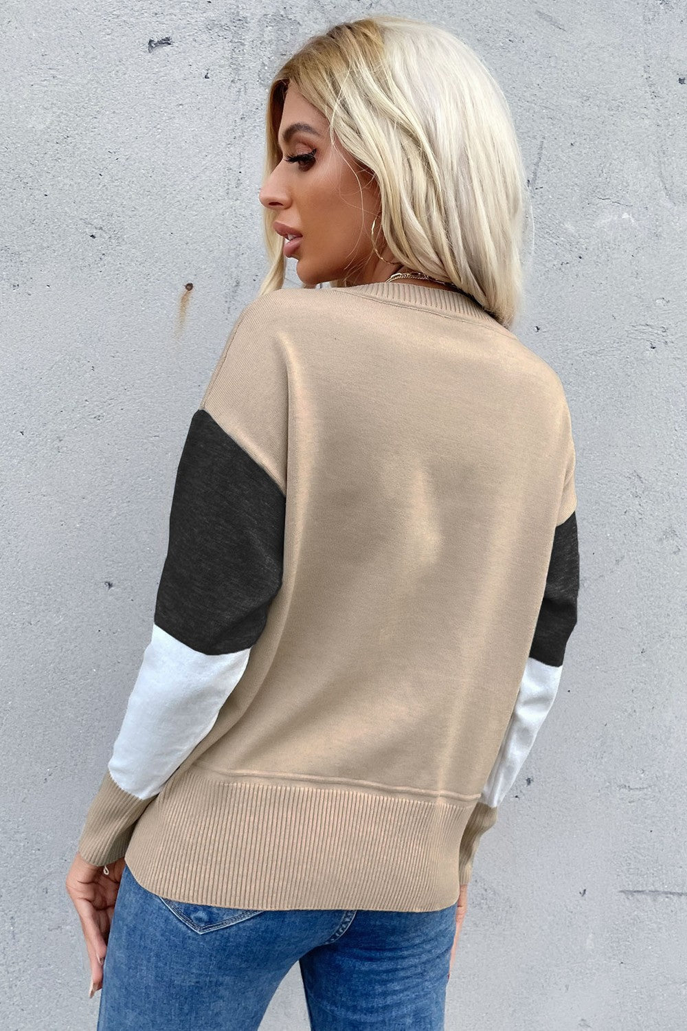 swvws Color Block Ribbed Trim Round Neck Knit Pullover