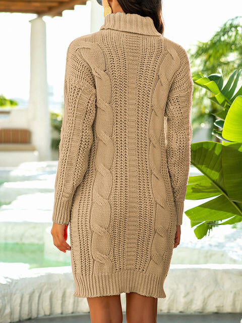 swvws Turtleneck Ribbed Sweater Dress