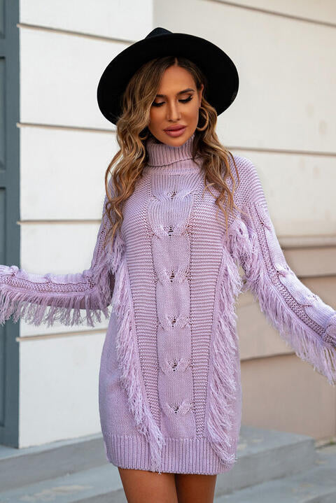 swvws Turtleneck Fringe Detail Sweater Dress