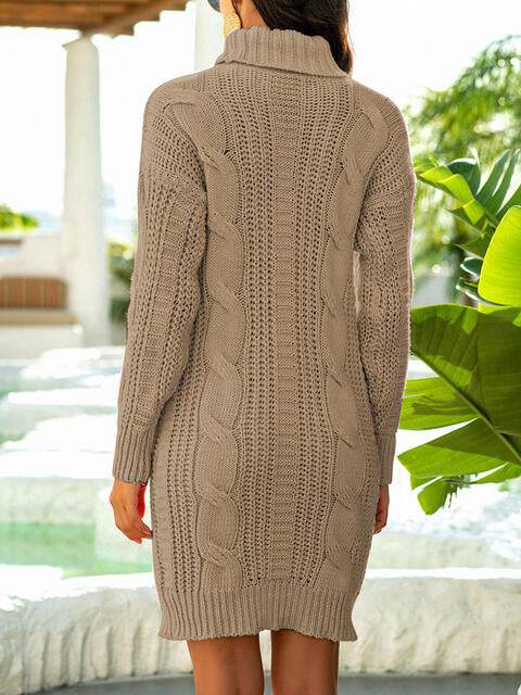 swvws Turtleneck Ribbed Sweater Dress