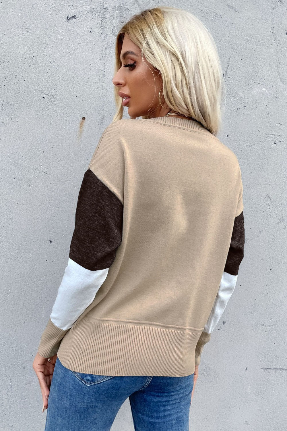 swvws Color Block Ribbed Trim Round Neck Knit Pullover