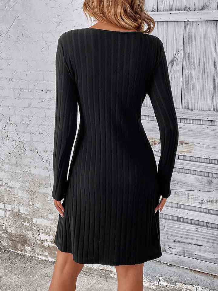 swvws V-Neck Long Sleeve Mini Dress