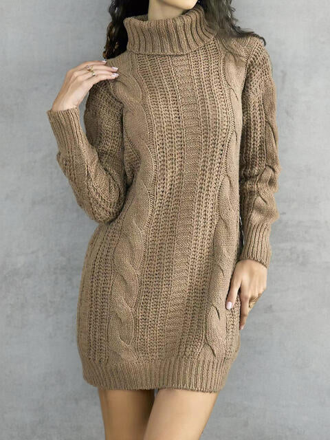 swvws Turtleneck Ribbed Sweater Dress